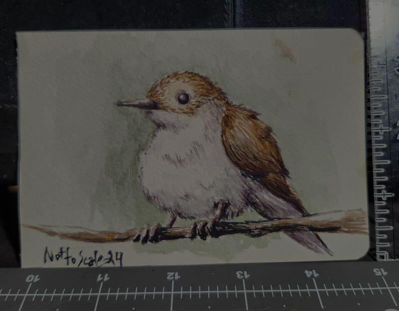 Borb 5.5&quot;x3.5&quot; $100 SOLD